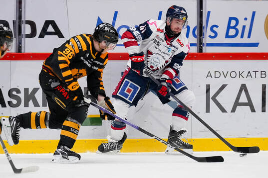 Skellefteås Rickard Hugg och Linköpings Broc Little