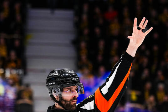 Domare Mikael Sjöqvist