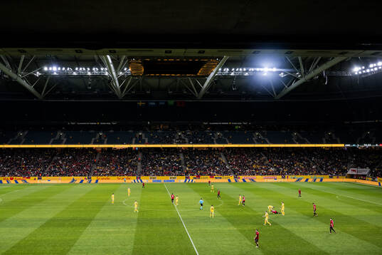 View from the stands