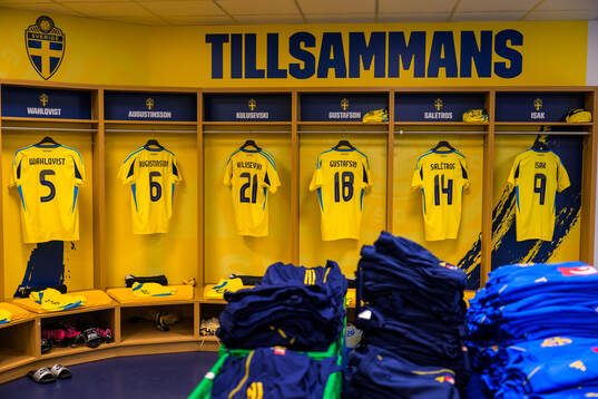 Jerseys of Linus Wahlqvist Egnell, Ludwig Augustinsson,