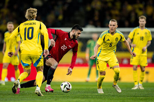 Emil Forsberg and Ludwig Augustinsson of Sweden against