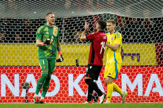 Goalkeeper Robin Olsen of Sweden celebrates