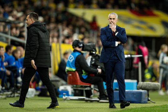Head coach Sylvinho of Albania