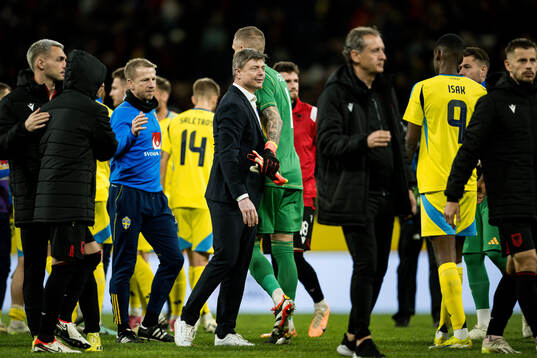 Head coach Jon Dahl Tomasson and goalkeeper Robin Olsen of