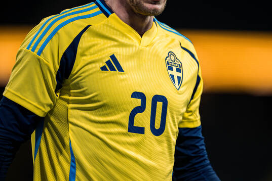 Players of Sweden wearing jersey number 20, honouring