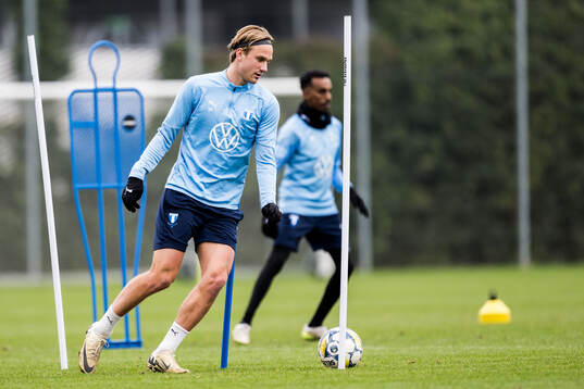 Malmö FFs Erik Botheim