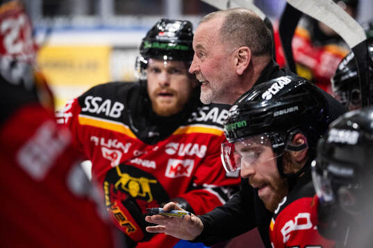 Luleås tränare Thomas Berglund