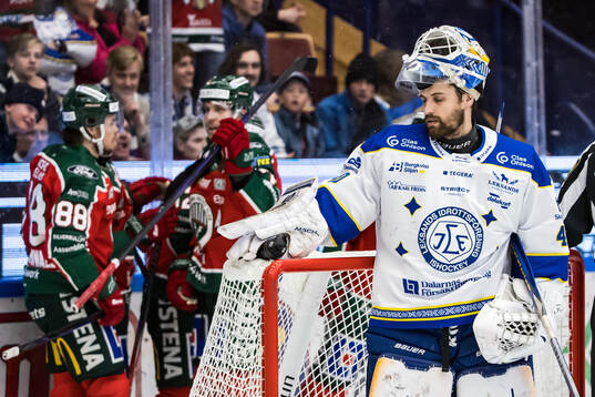 Leksands målvakt Mantas Armalis  deppar