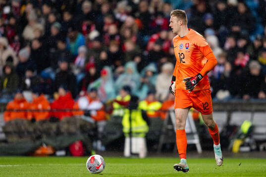 Goalkeeper Marek Rodak of Slovakia