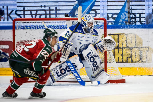 Leksands målvakt Mantas Armalis