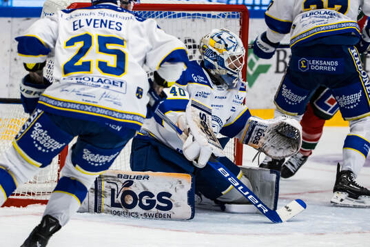 Leksands målvakt Mantas Armalis