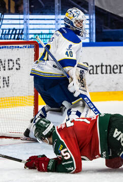 Leksands målvakt Mantas Armalis