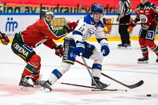 Leksands Lukas Vejdemo
