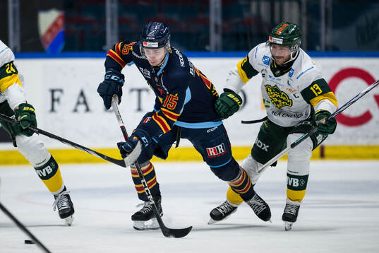 Djurgårdens Frederik Schlyter och Björklövens Fredric