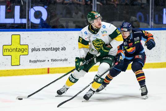 Björklövens Scott Pooley och Djurgårdens Daniel Glad