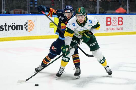 Djurgårdens Daniel Glad och Björklövens Scott Pooley