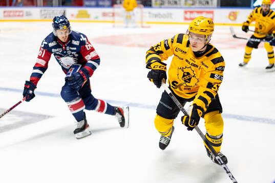 Linköpings Markus Ljungh och Skellefteås Zeb Forsfjäll