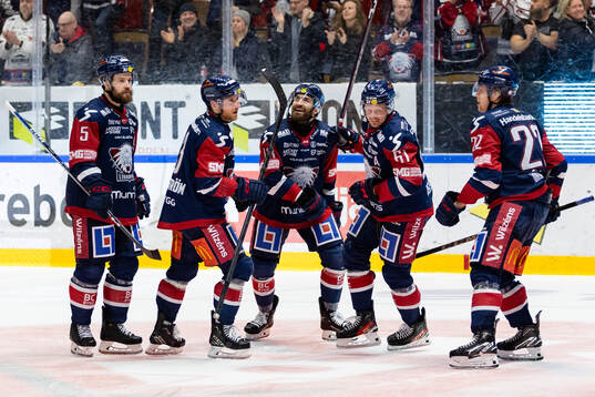 Linköpings spelare jublar med Markus Ljungh