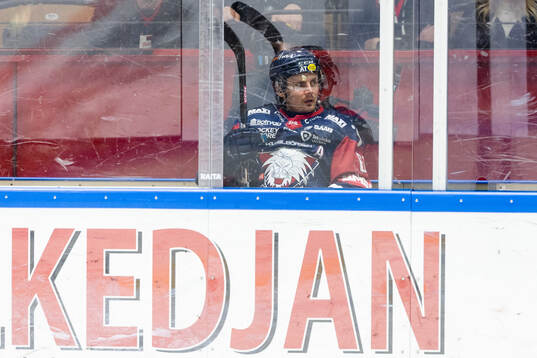 Linköpings Markus Ljungh deppar