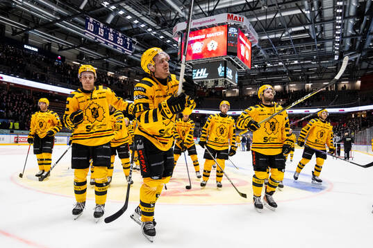 Skellefteås Max Lindholm jublar