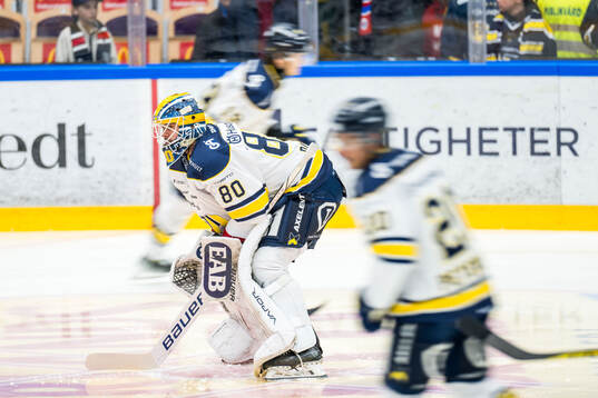 HV71s målvakt Frederik Dichow