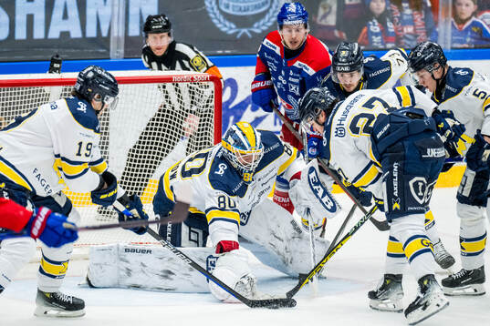 HV71s målvakt Frederik Dichow