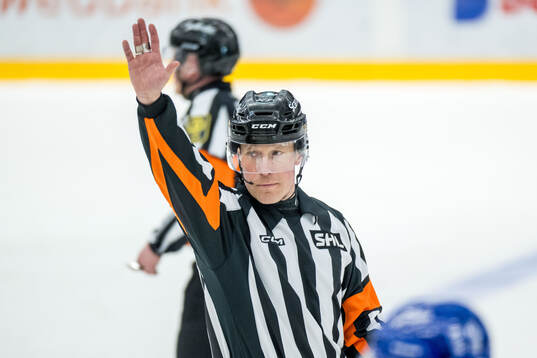 Domare Tobias Björk