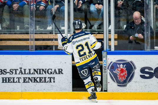 HV71s Mattias Tedenby