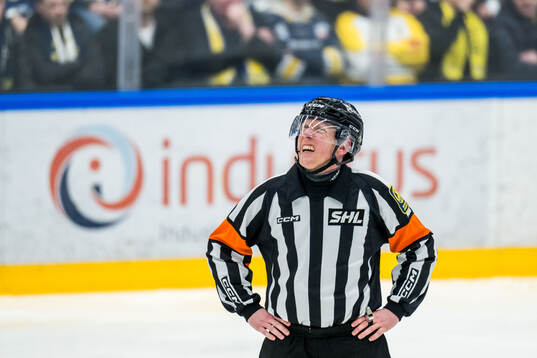 Domare Mikael Holm