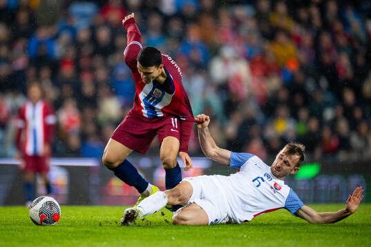 Norbert Gyömber of Slovakia brings down Mohamed