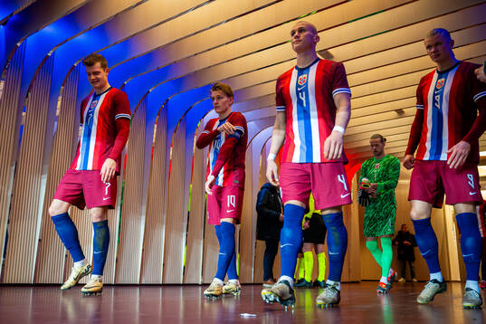Martin Ødegaard and players of Norway at half-time
