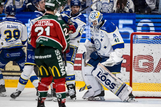 Leksands målvakt Mantas Armalis deppar