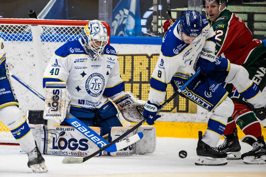 Leksands målvakt Mantas Armalis
