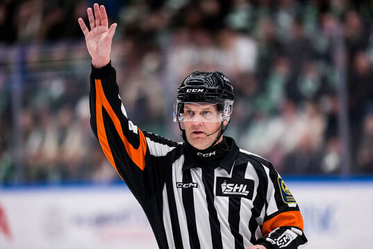 Domare Mikael Nord