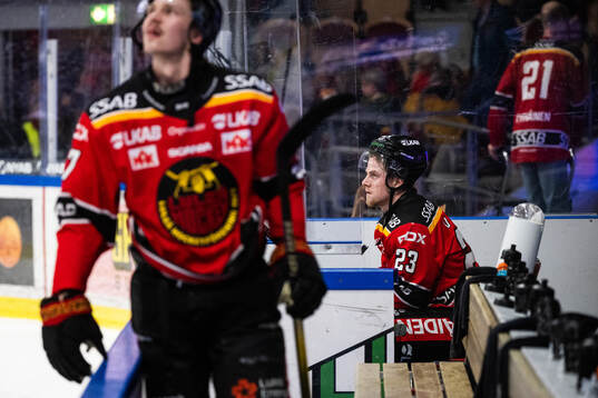 Luleås Jesper Sellgren deppar