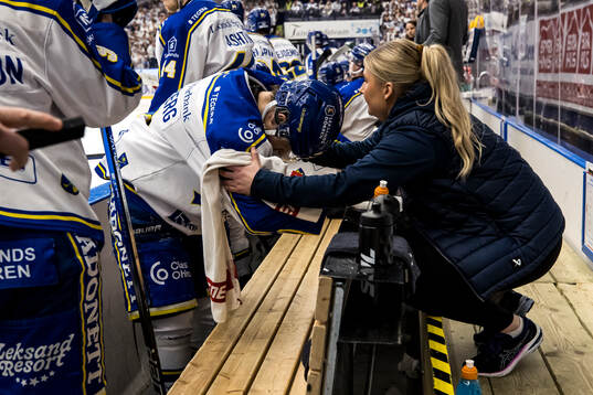 Leksands Marcus Karlberg
