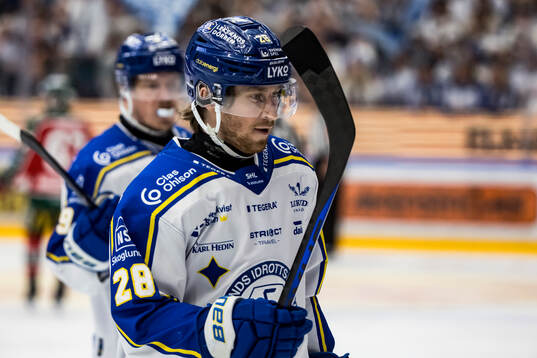 Leksands Justin Glenn Kloos