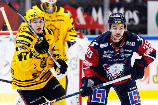 Skellefteås Axel Sandin Pellikka och Linköpings Ty Rattie