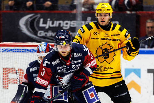 Linköpings Linus Hultström och Skellefteås Rickard Hugg