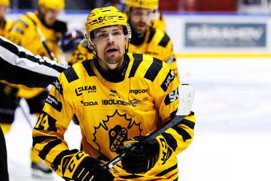 Skellefteås Andreas Johnson jublar