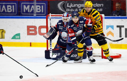 Linköpings Linus Hultström och Skellefteås Rickard Hugg