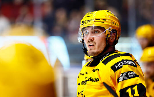 Skellefteås Max Lindholm