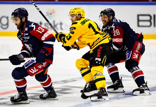 Skellefteås Max Lindholm