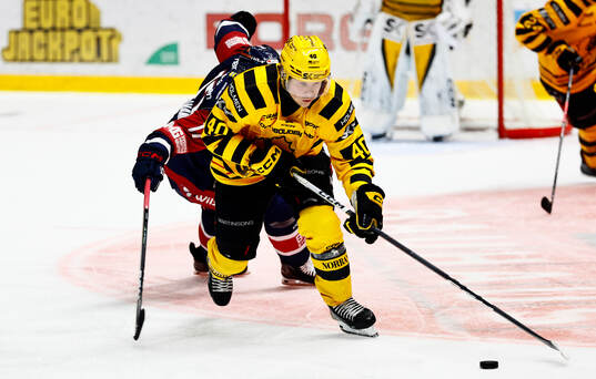 Skellefteås Anton Heikkinen