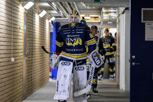 HV71s målvakt Frederik Dichow