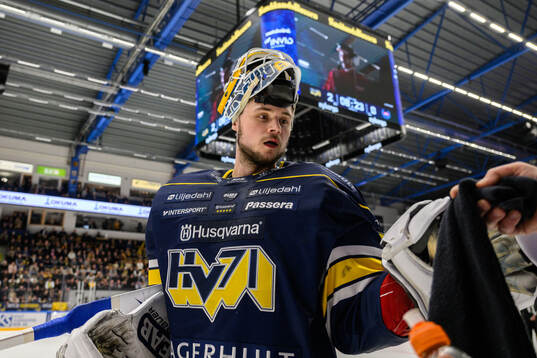 HV71s målvakt Frederik Dichow