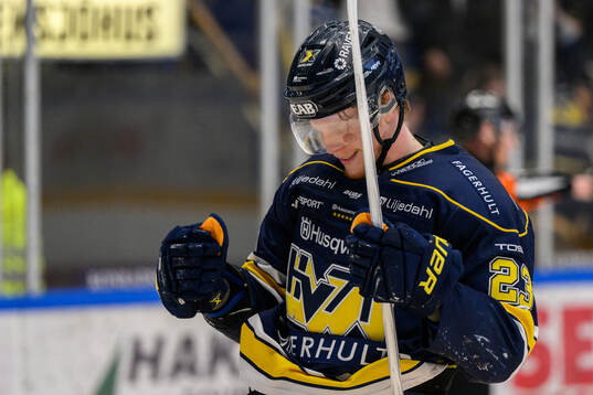 HV71s Åke Stakkestad jublar