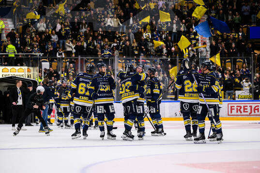 HV71s spelare jublar