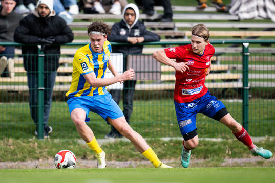 Eskilsminnes Johan Albin