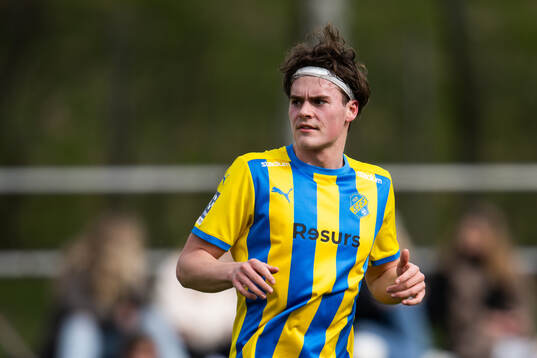 Eskilsminnes Johan Albin